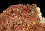 Plate, Sparkling, Ruby Red Vanadinite Crystals #59973-4